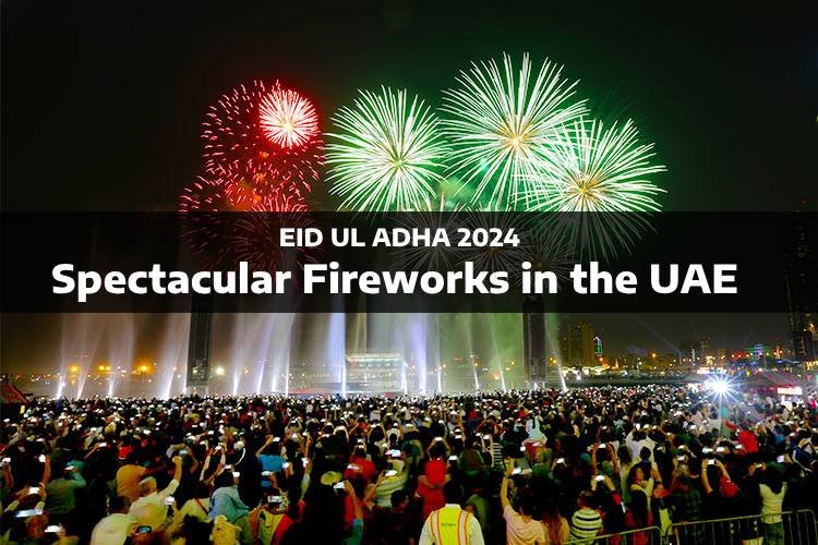 Fireworks in the UAE